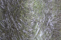 Lady Halton fibreglass roof work